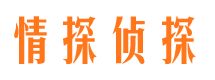 渭城调查事务所